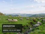 Salt Block Machine for Cattle & Sheep: Build Your Mineral Lick Block Production Line