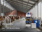 How to Choose a Reliable Salt Brick Machine Manufacturer